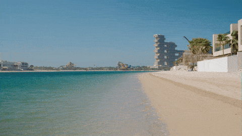 Electric Transitions